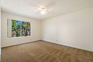 2804 Augusta Street - Photo 1 of 1
