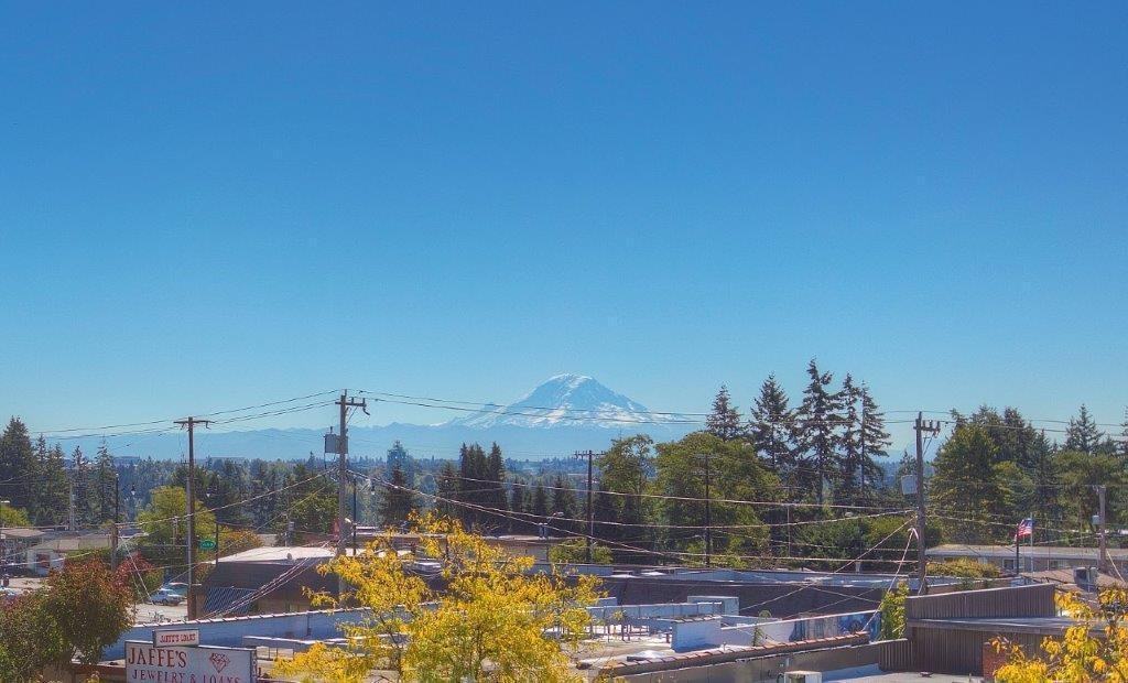 15100 6th Ave Sw - Photo 2 of 44