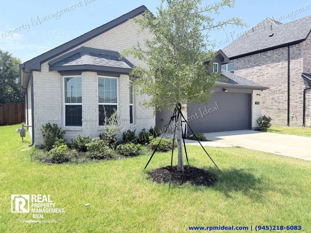 2906 Cremini Falls - Photo 3 of 10