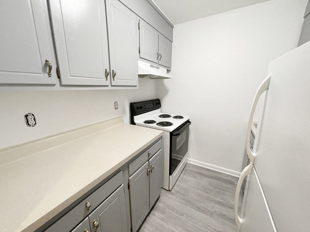 45 Maynard St #4 - Photo 5 of 7