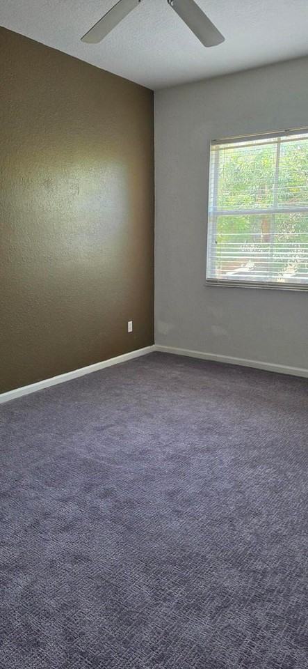 6516 Morgan Hill Trl #1809 - Photo 4 of 14