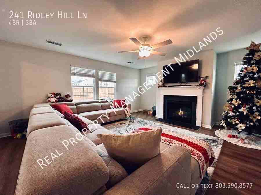 241 Ridley Hill Ln - Photo 7 of 23
