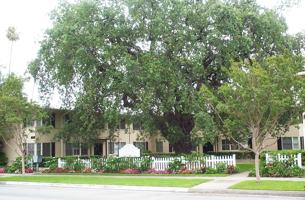 featured image of 1618 W Huntington Dr