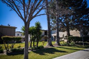 featured image of 973 Mission Dr