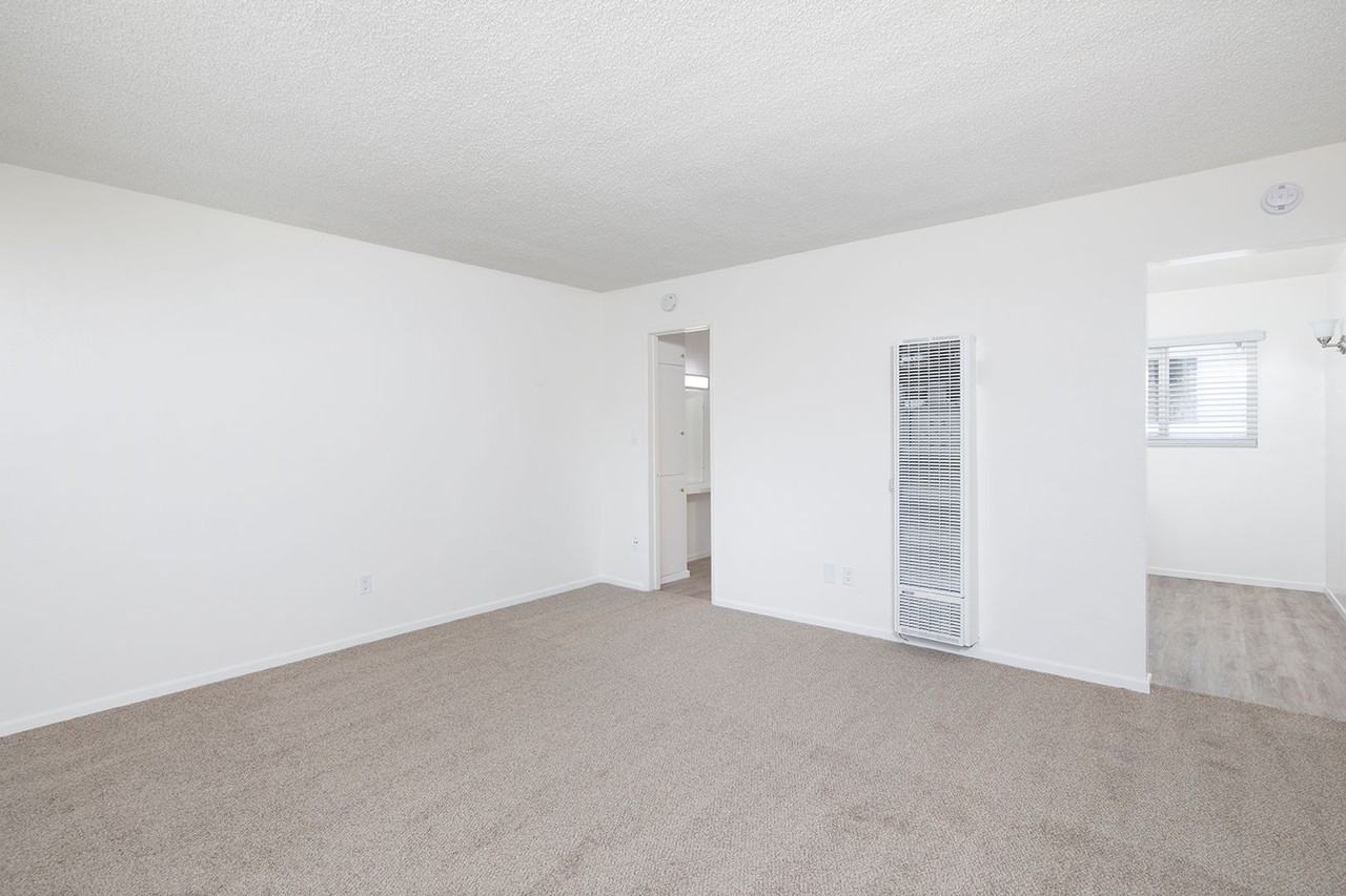 1128 Felspar Street - Photo 3 of 17