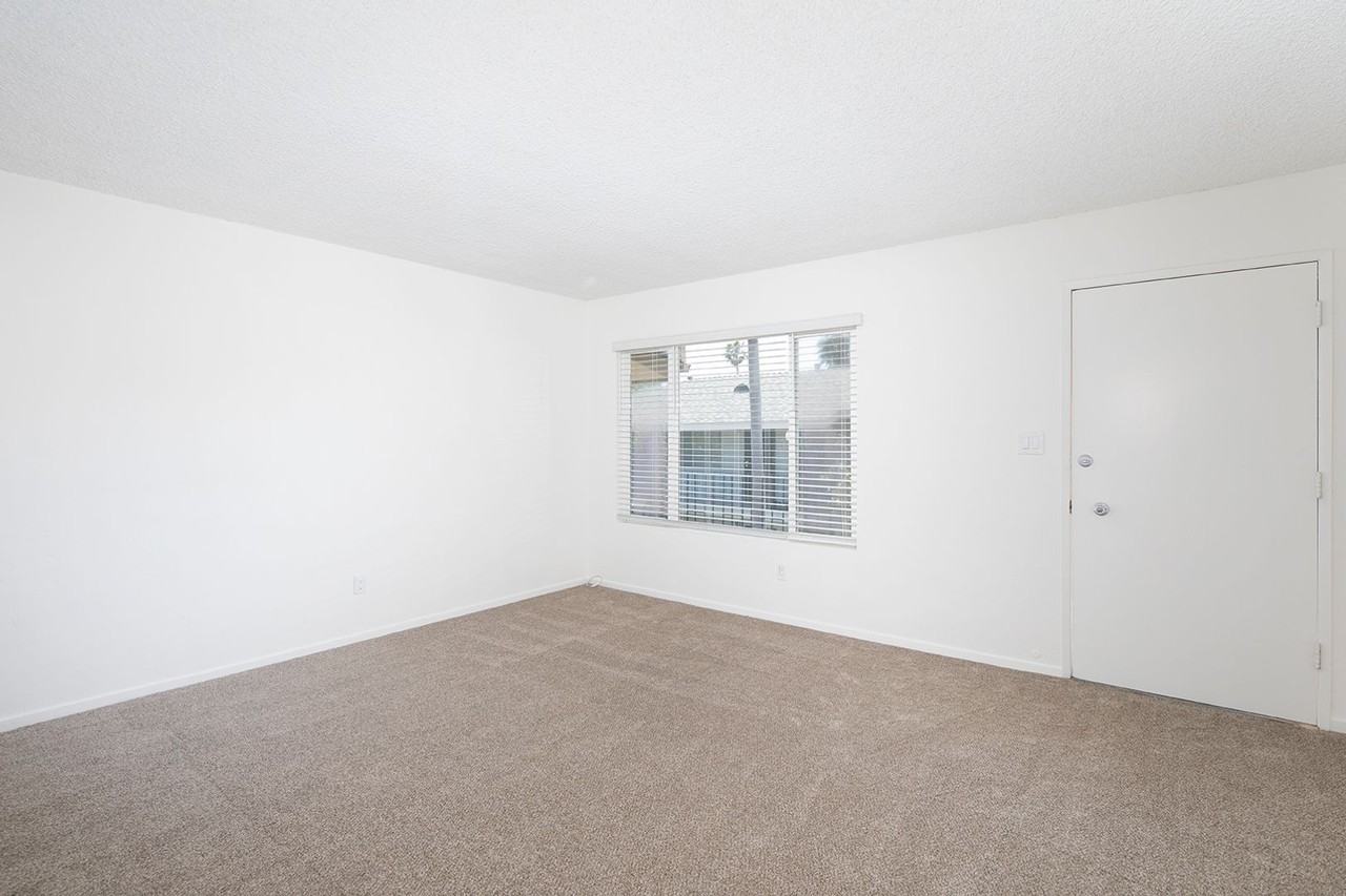 1128 Felspar Street - Photo 5 of 17