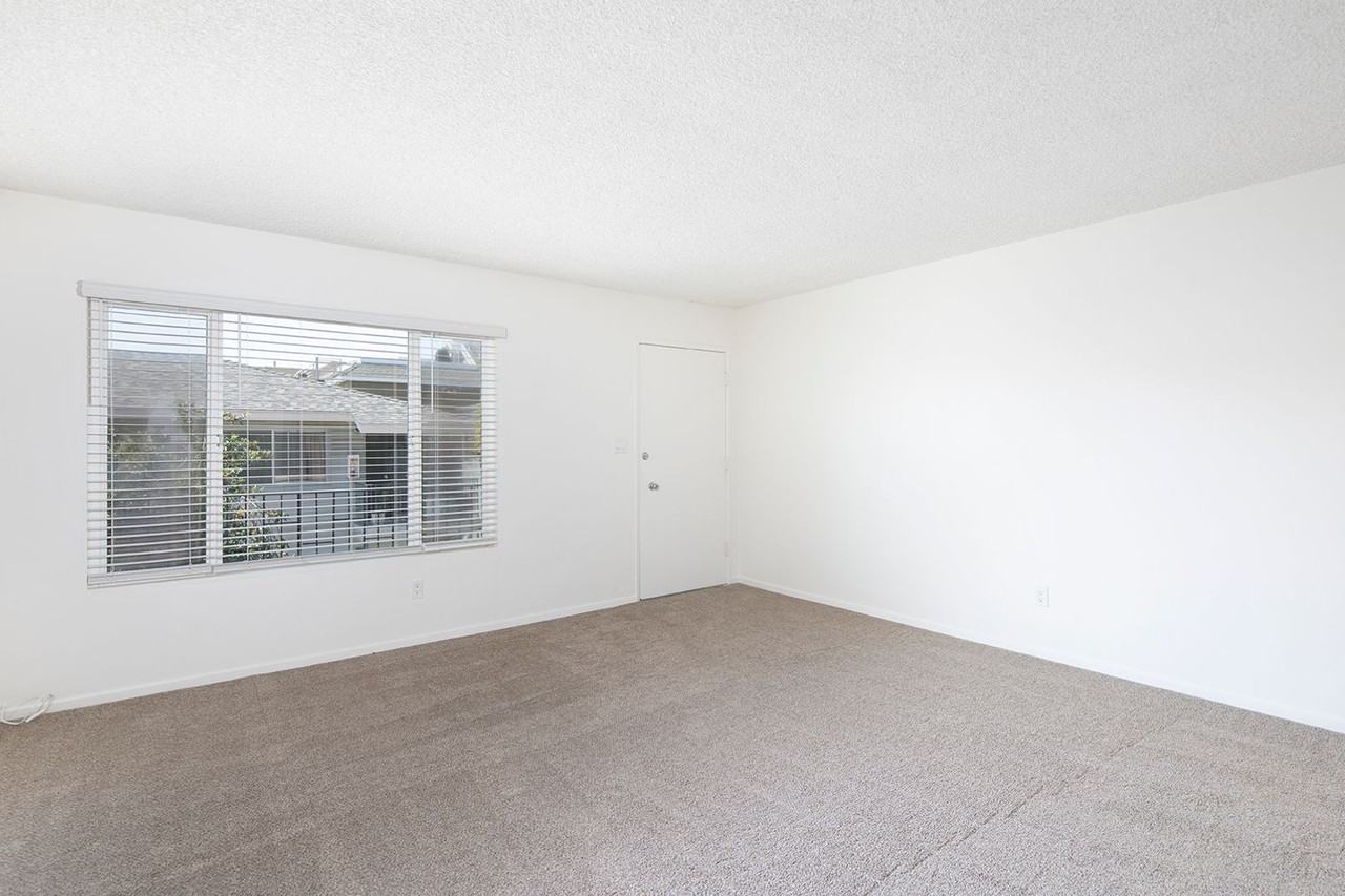 1128 Felspar Street - Photo 6 of 17