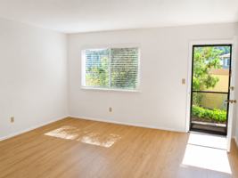 featured image of 31 Reed Blvd