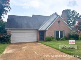 1197 Scarlet Tanager Ln - Photo 1 of 1
