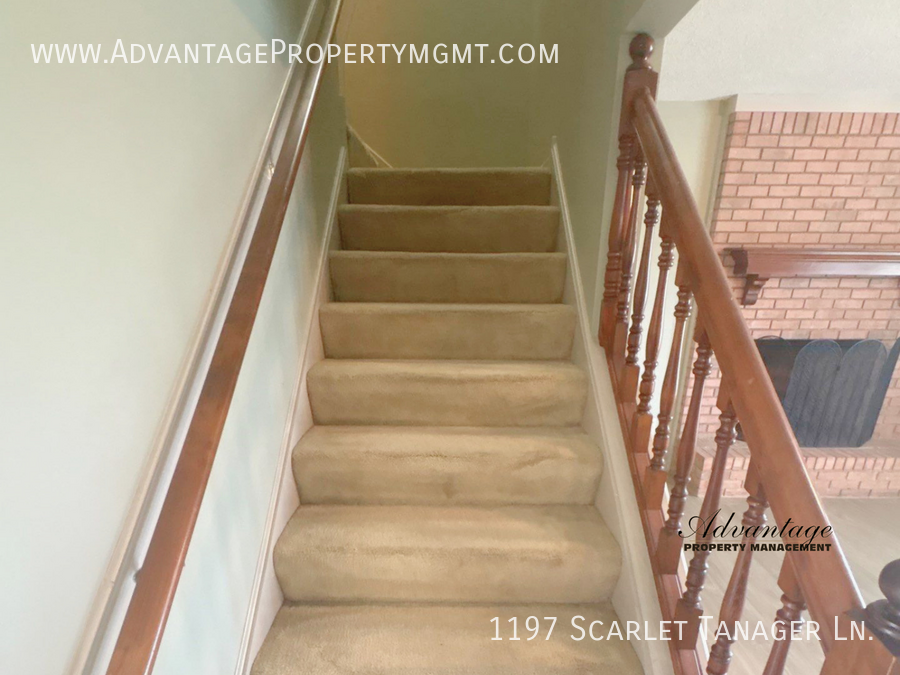 1197 Scarlet Tanager Ln - Photo 4 of 24