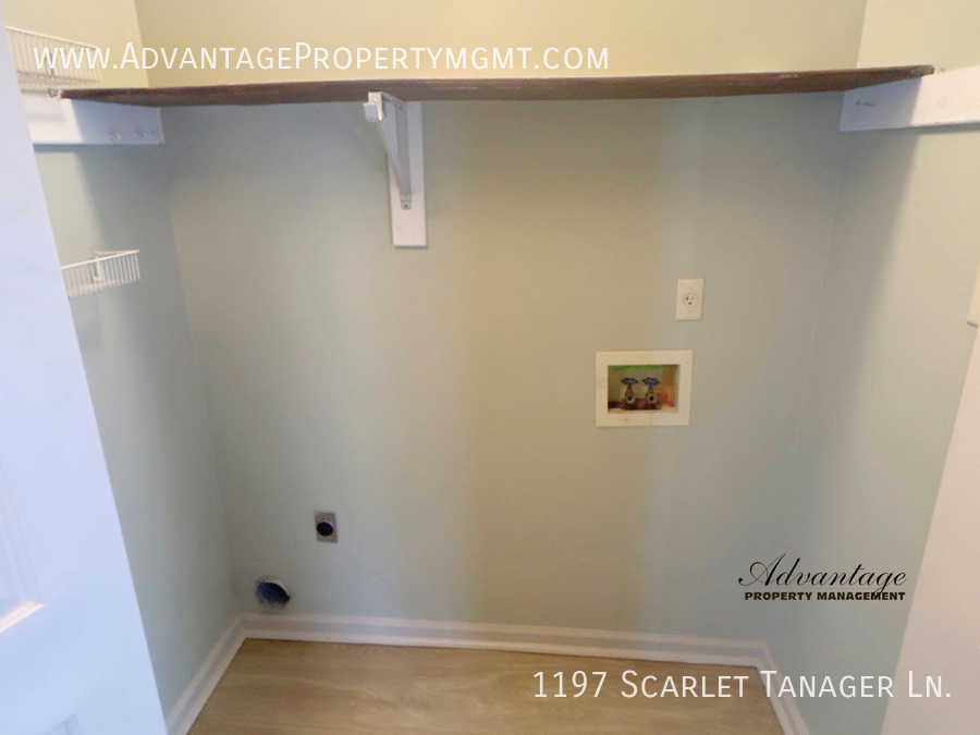 1197 Scarlet Tanager Ln - Photo 5 of 24