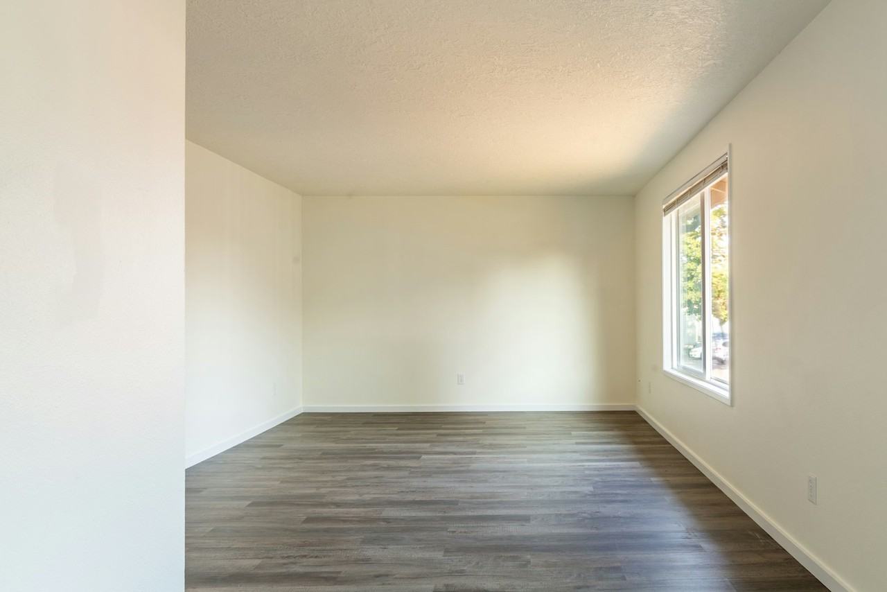 3653 47th Avenue Northeast, Unit B - Photo 5 of 12