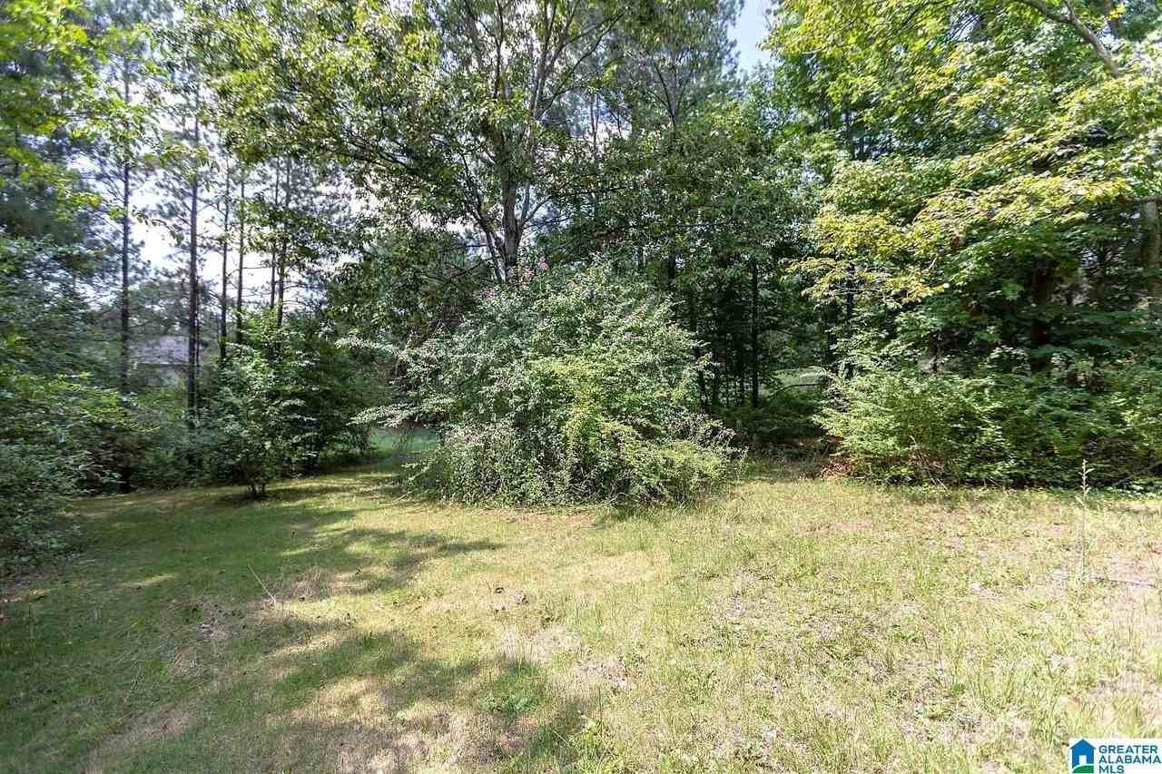 203 Winterhaven Dr - Photo 2 of 25