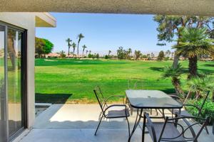 featured image of 77062 Pauma Valley Way