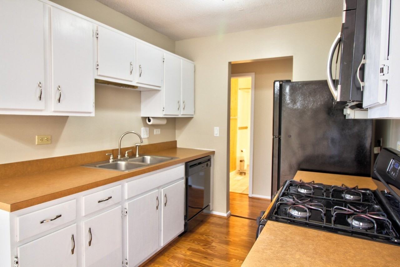 3327 Allspice Ct - Photo 6 of 14
