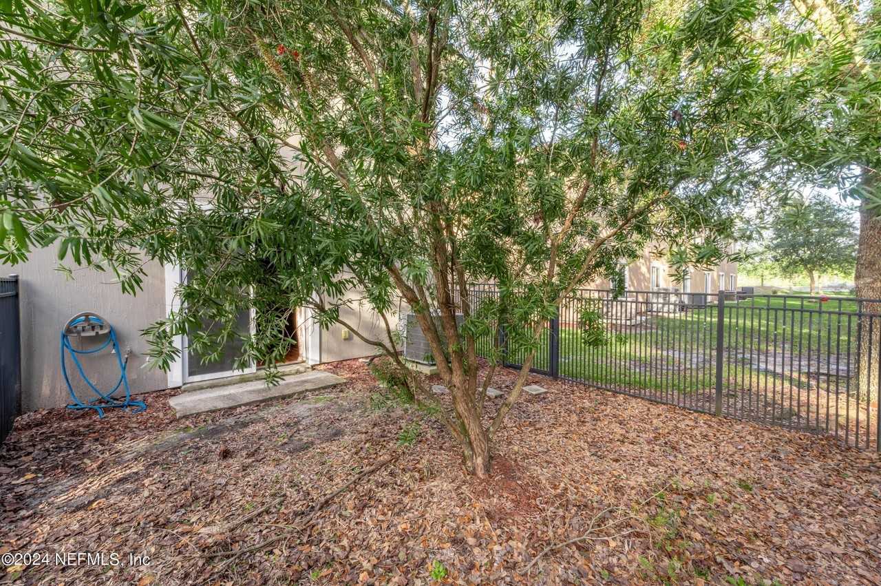 807 Scrub Jay Dr - Photo 5 of 36