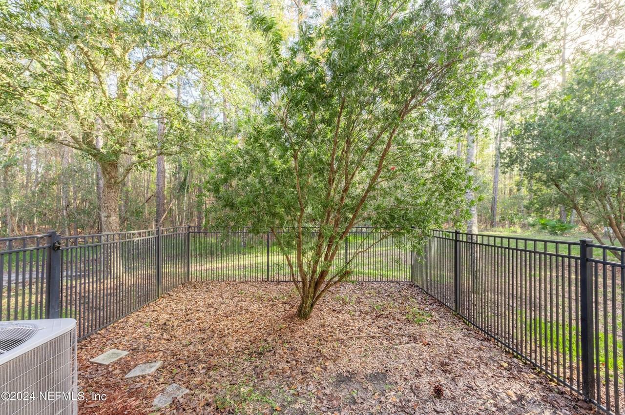 807 Scrub Jay Dr - Photo 6 of 36