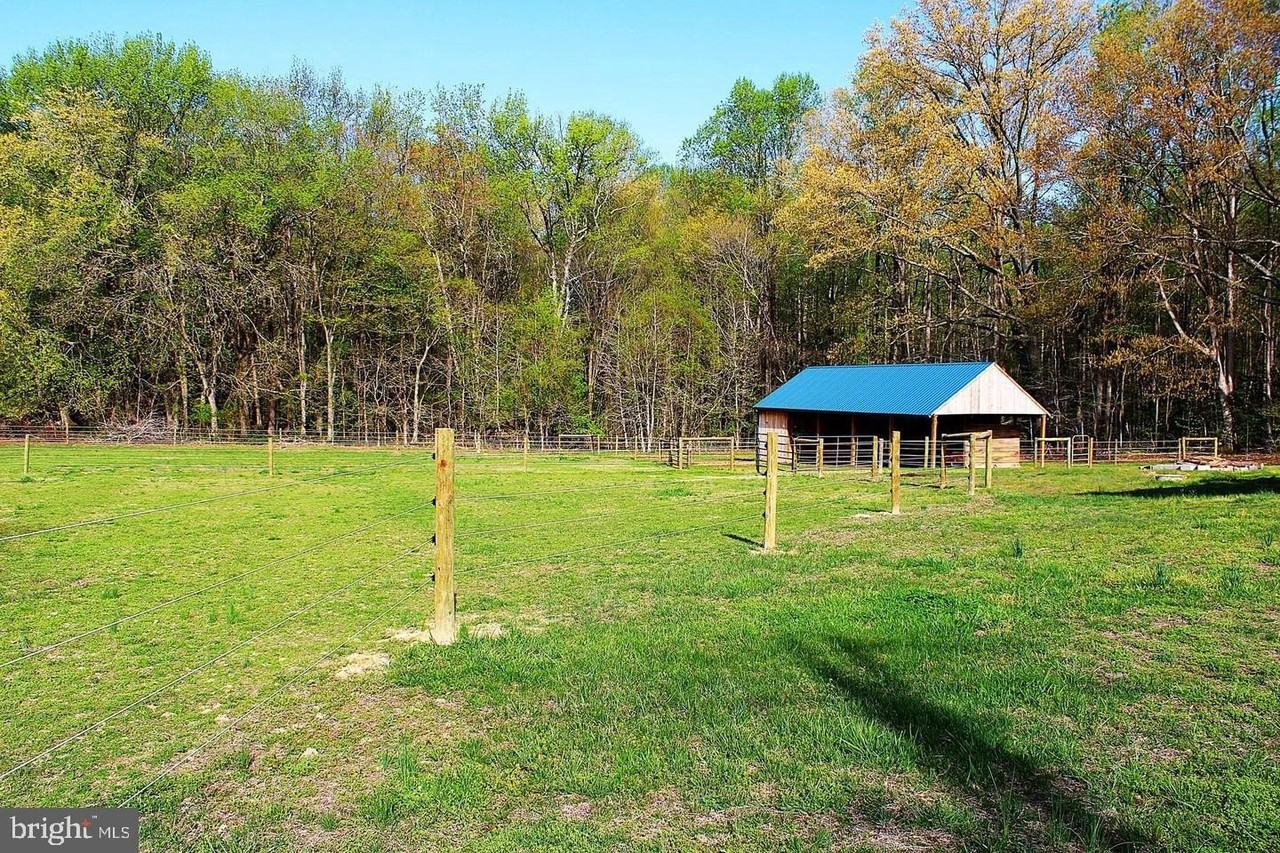 3730 Hunting Creek Rd - Photo 5 of 28