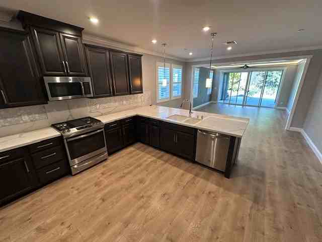 4145 Hydra Cir - Photo 3 of 21