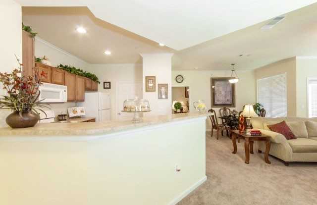 541 Farm to Market Rd 1488 #426