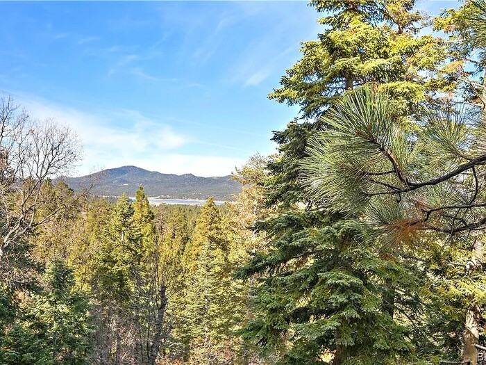 1219 Pigeon Rd - Photo 3 of 20