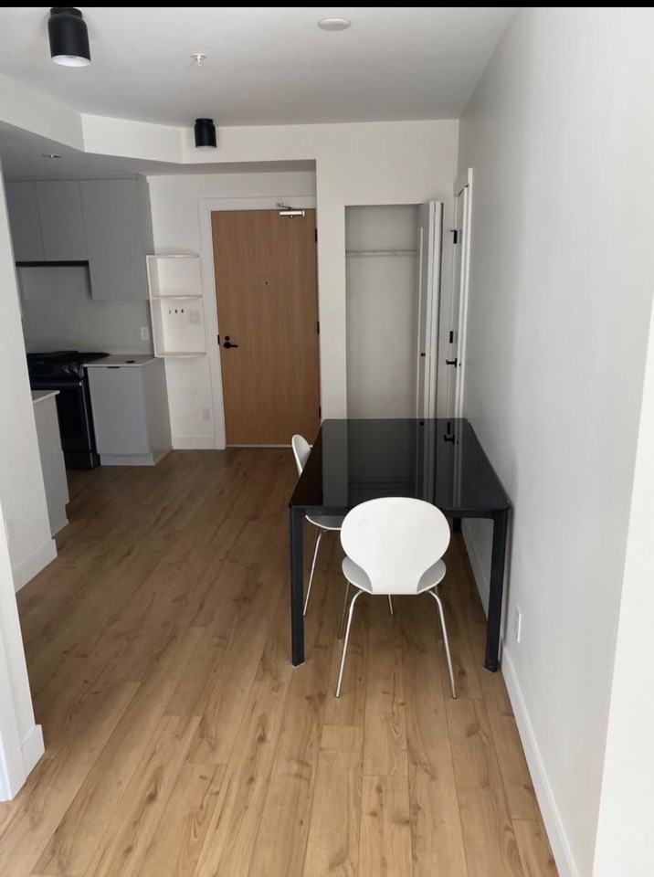 2493 Montrose Avenue #410 - Photo 6 of 15