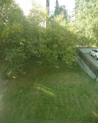334 15 Ave Sw - Photo 3 of 14