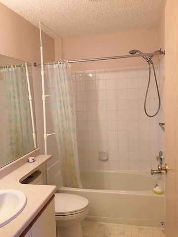 11620 The Pointe Twin Brooks - Photo 2 of 20