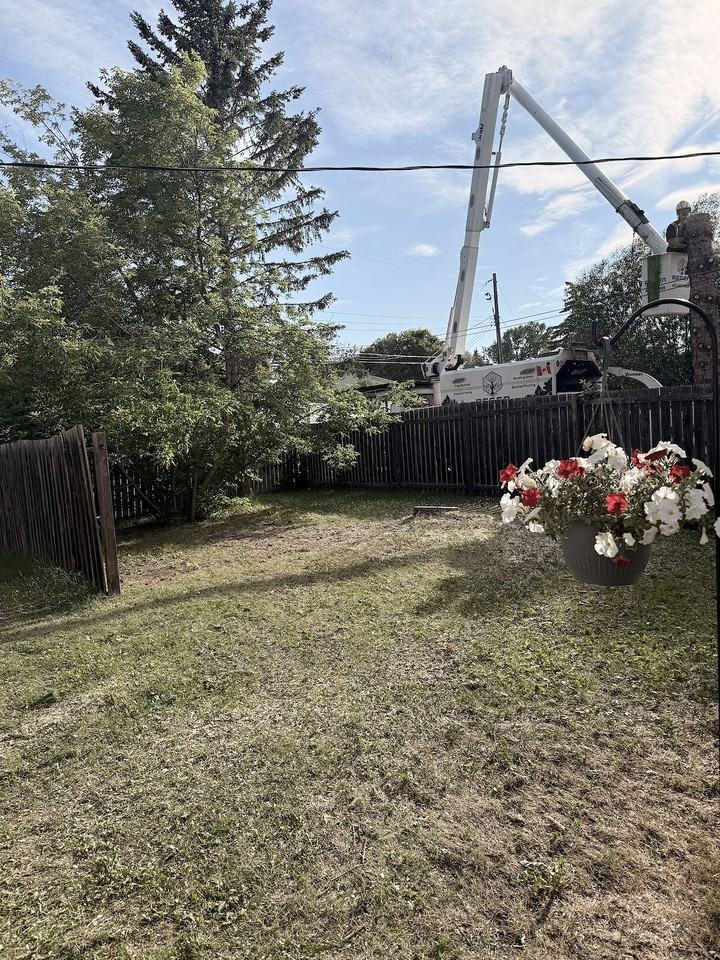 11 A - 11 Westhill Pl - Photo 3 of 6