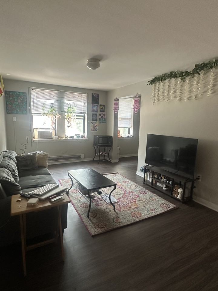 4723 Walnut Street #203 - Photo 4 of 4