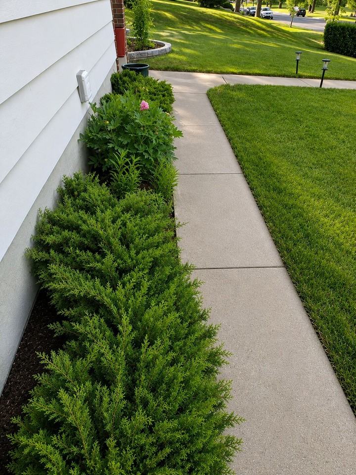 3236 19 St Nw - Photo 2 of 8