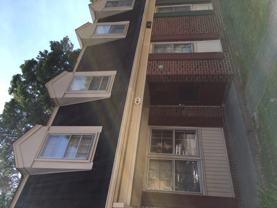 391 Circuit Ln #C - Photo 1 of 1