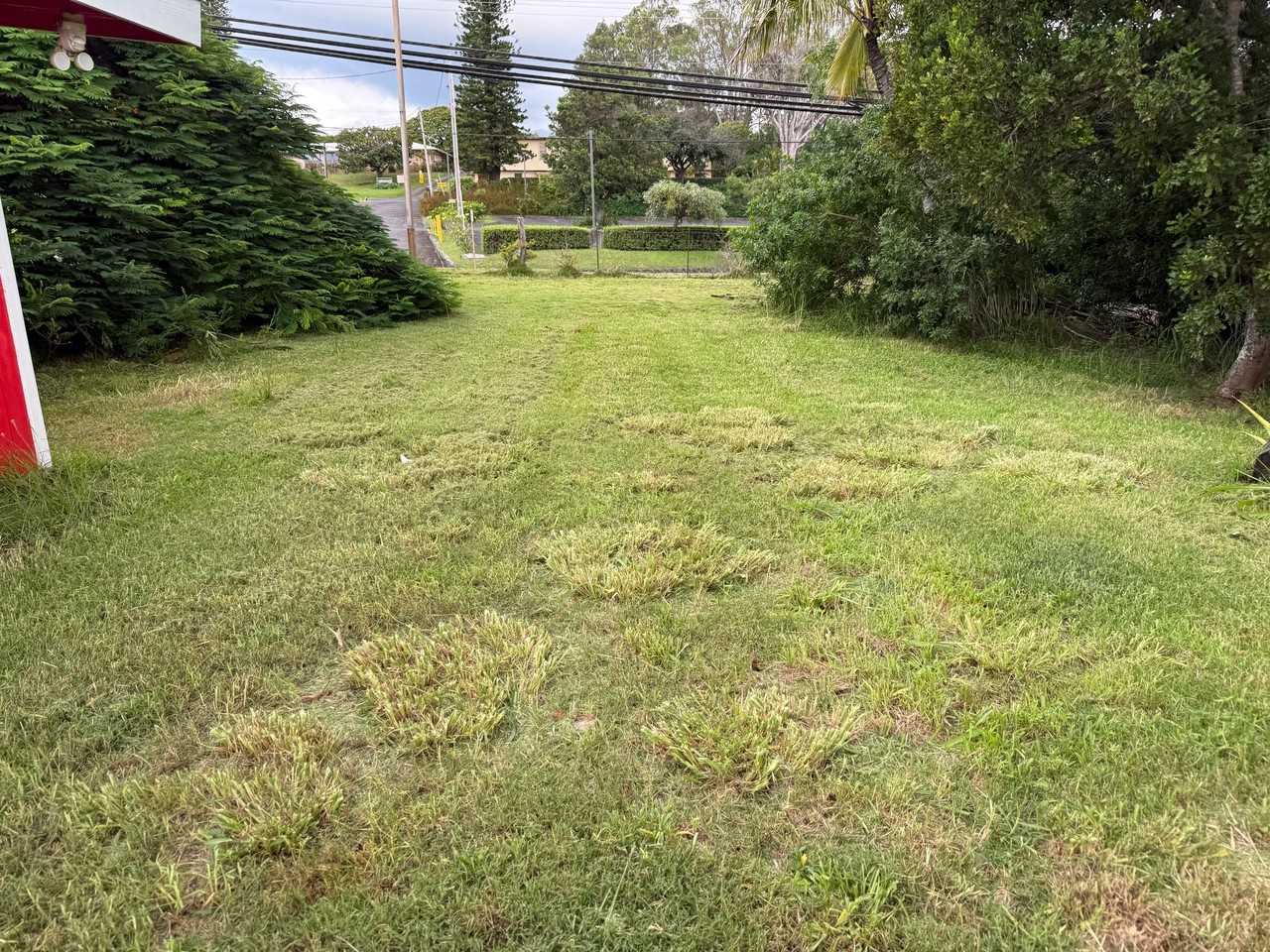 3596 Burns Pl #A - Photo 5 of 10