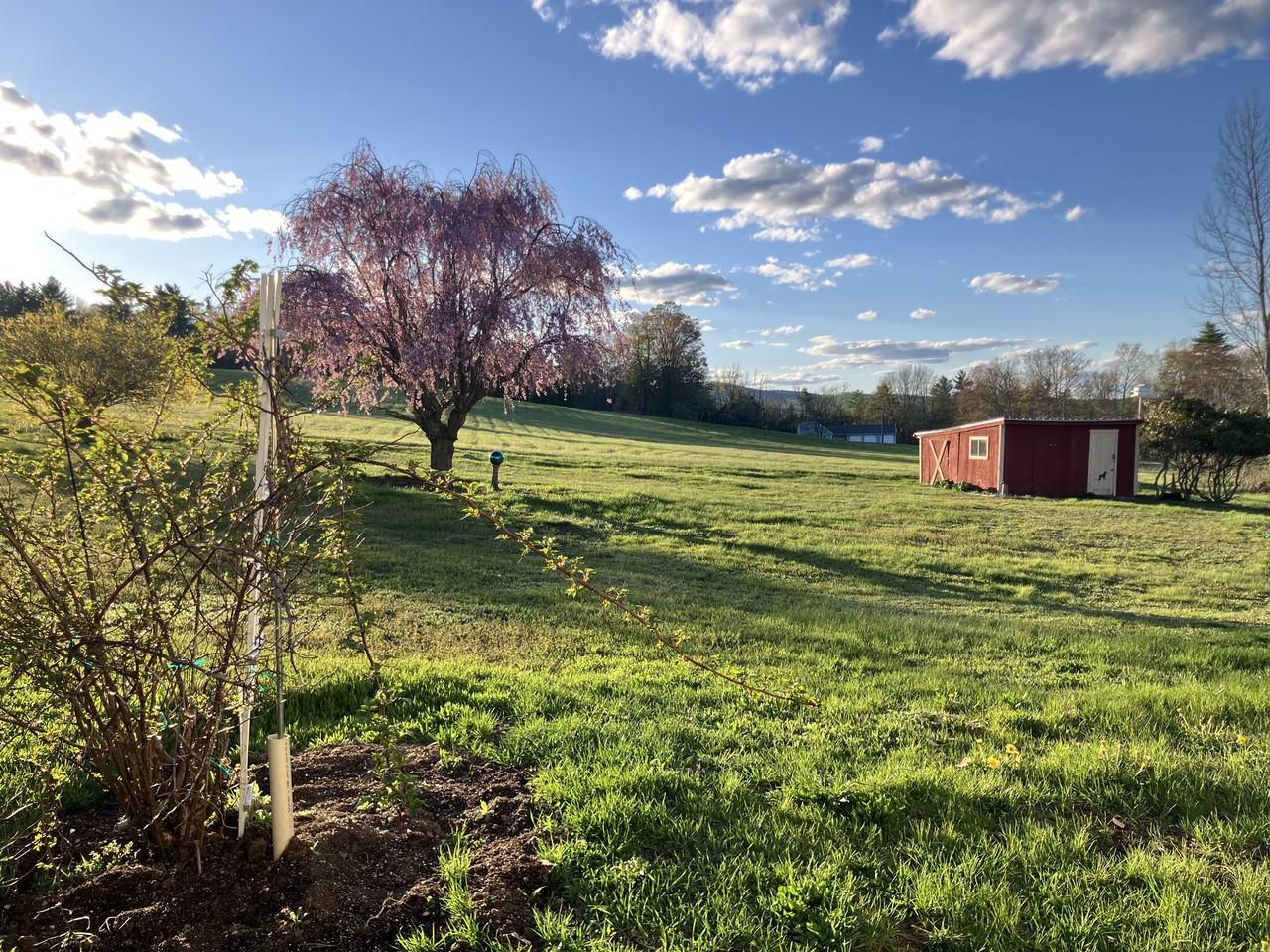 175 1st Crown Point Rd #NA - Photo 4 of 45