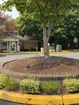 9805 Avondale Rd Ne #M240 - Photo 1 of 1