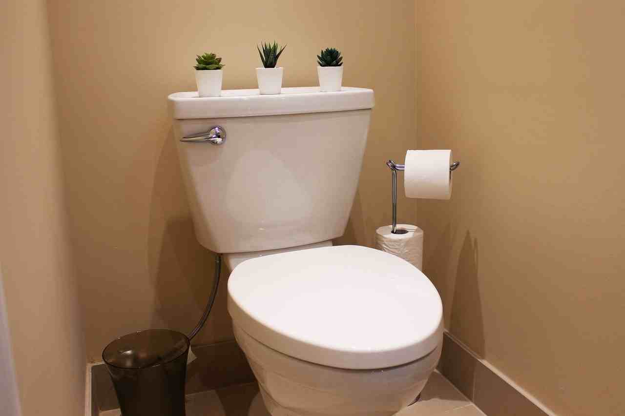 25 Elford Blvd - Photo 6 of 7