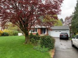 featured image of 384 Matthews St