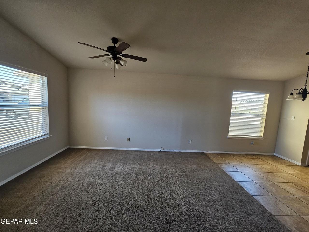 12036 Copper Head Ln - Photo 4 of 17
