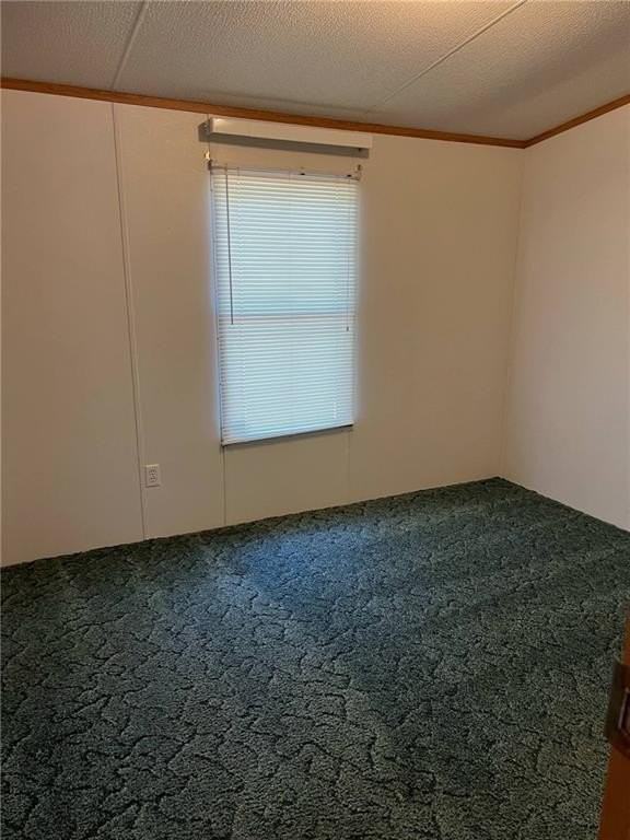36 Fred Ave - Photo 3 of 9