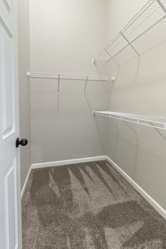7269 29th St S #1 - Photo 6 of 13