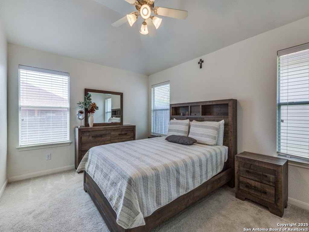 9134 Canter Horse - Photo 7 of 12