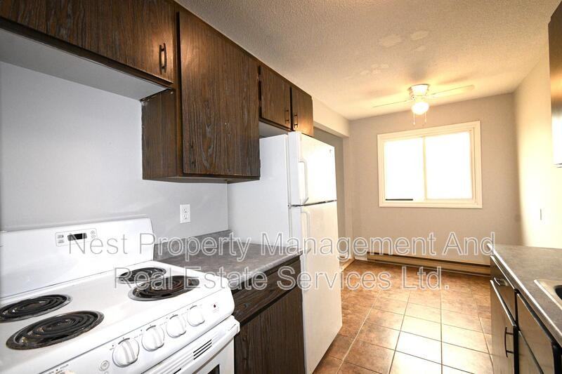 120 Conveyor St #3 - Photo 4 of 18