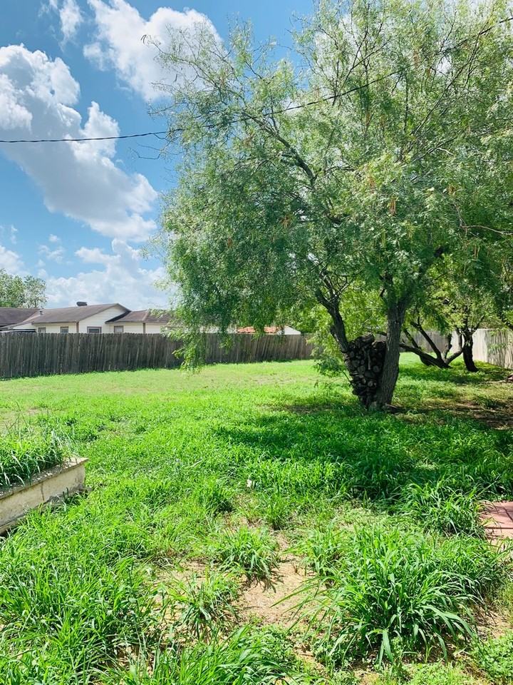 11321 Margie Dr - Photo 7 of 7
