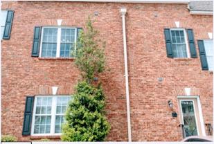 116 Northwynd Cir #C - Photo 1 of 1