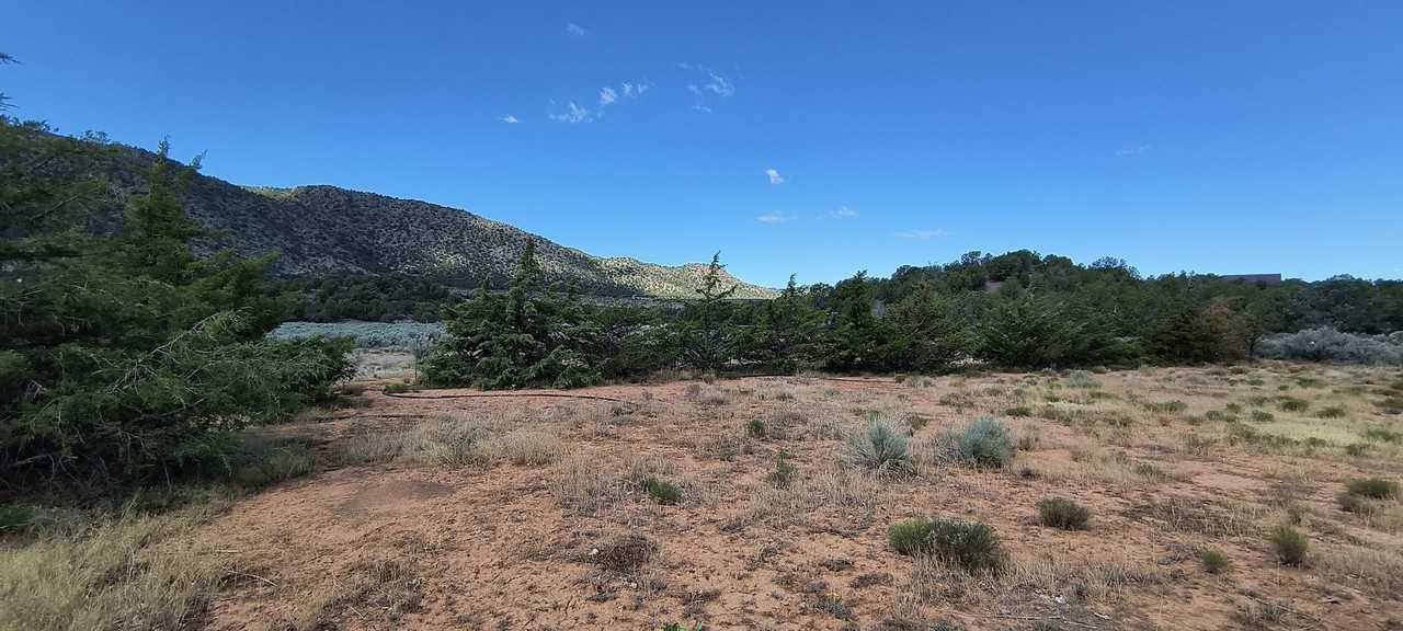 17845 Harmony Ln - Photo 5 of 14