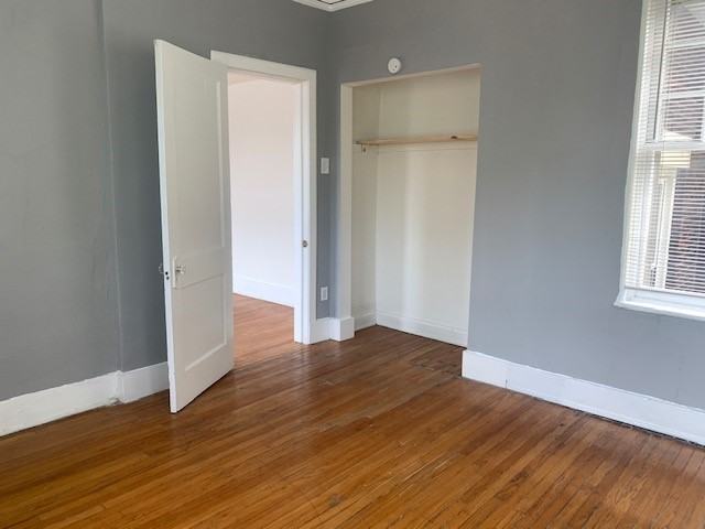 1364 McCausland Avenue1N #1364-1N - Photo 5 of 16