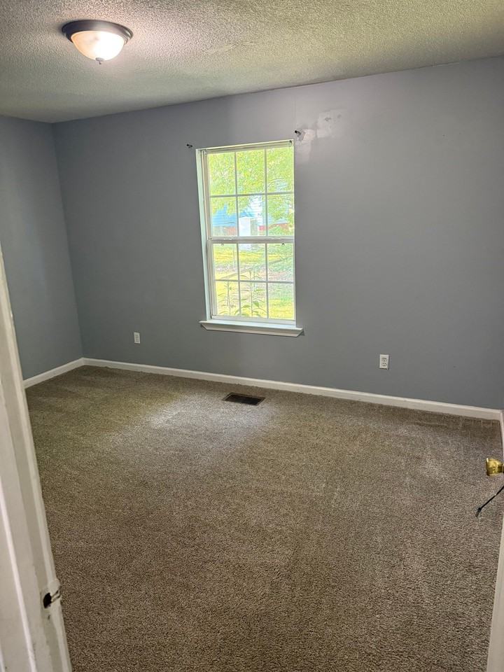 318 Hill Ave #1 - Photo 4 of 15