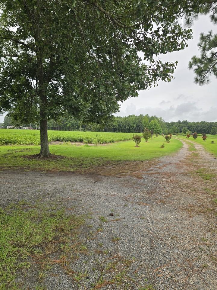 1717 Black Rd #1 - Photo 2 of 22