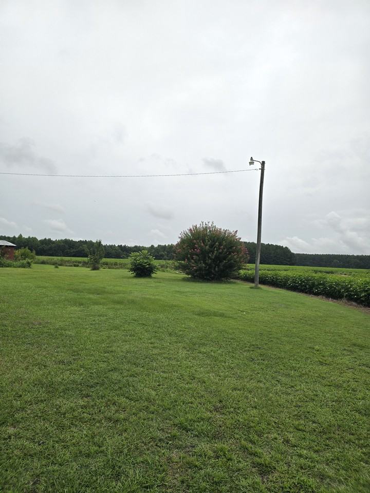 1717 Black Rd #1 - Photo 3 of 22