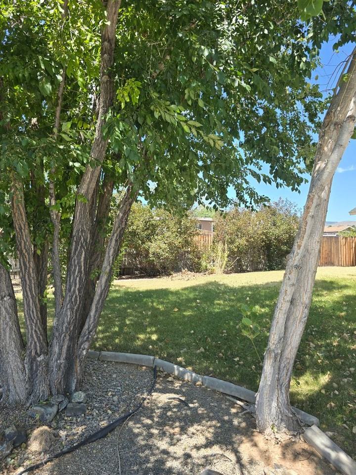 936 Azurite Ln - Photo 2 of 14